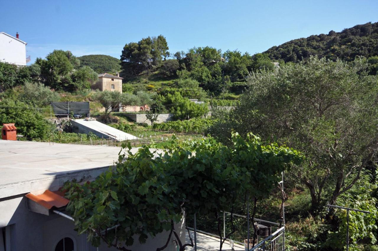 Family Friendly Apartments With A Swimming Pool Supetarska Draga - Donja, Rab - 2019 Kültér fotó
